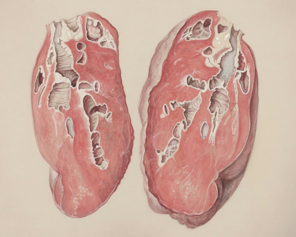 Imagen destacada de Hello World